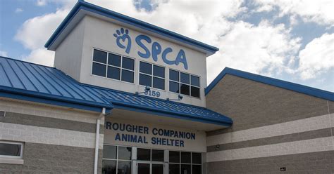 York county spca - Aug 17, 2023 · 0:00. 1:30. The York County SPCA is planning a series of free adoption events starting Sunday in order to find homes for its animals, a result of the shelter being "at critical capacity." Shelter ... 